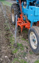 labour-de-printemps-vigne-champagne